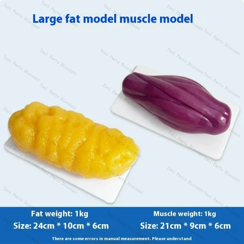 Nutrition Fitness Center - Repliki ludzkich mięśni Odchudzanie Odżywianie i